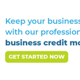 Real Corporate Credit Report Review